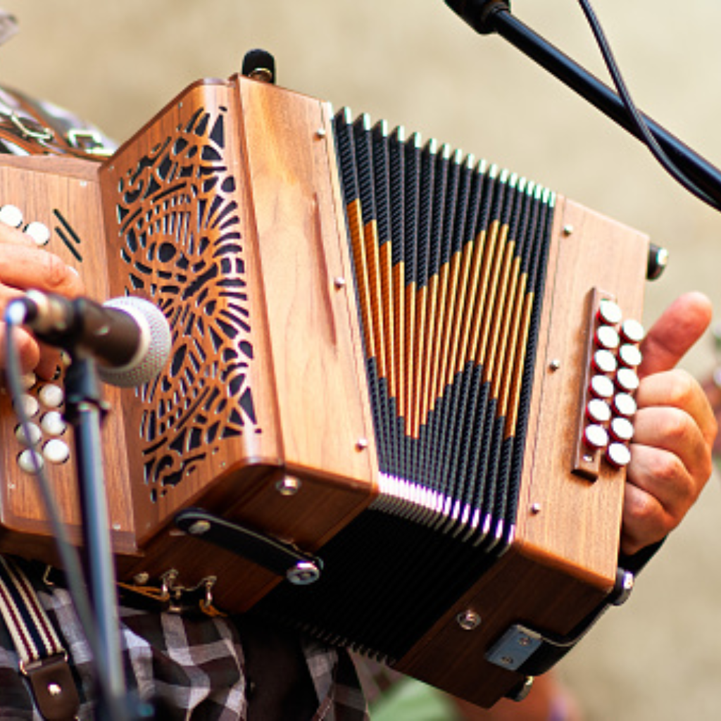 Encontro de Concertinas